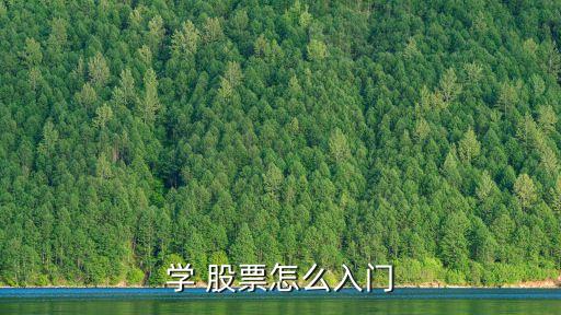 學 股票怎么入門
