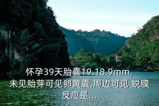 懷孕39天胎囊19.18.9mm,未見胎芽可見卵黃囊,周邊可見 蛻膜反應是...