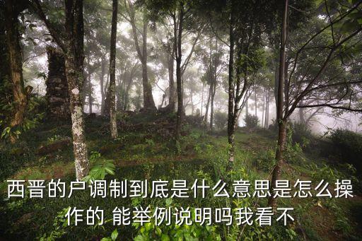 戶調(diào)制，西晉戶調(diào)制的特點