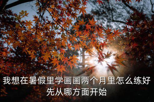 我想在暑假里學(xué)畫畫兩個月里怎么練好先從哪方面開始