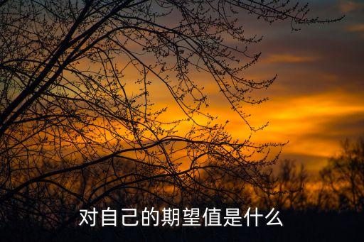 對(duì)自己的期望值是什么