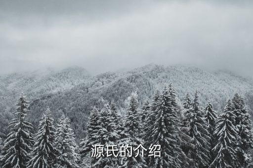 東莞朕源，源氏的介紹