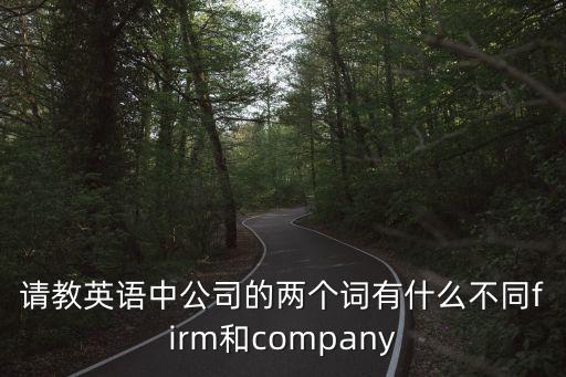 請(qǐng)教英語中公司的兩個(gè)詞有什么不同firm和company