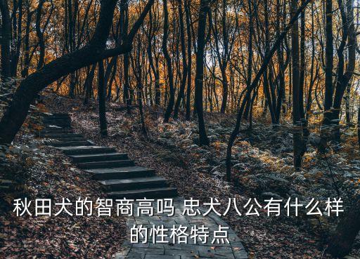 秋田犬的智商高嗎 忠犬八公有什么樣的性格特點