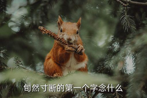旬然寸斷的第一個(gè)字念什么