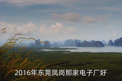 東莞風崗美亞電子廠，東莞鳳崗米亞電子廠周六招普工嗎