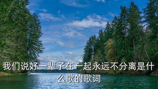 我們說好一輩子在一起永遠不分離是什么歌的歌詞