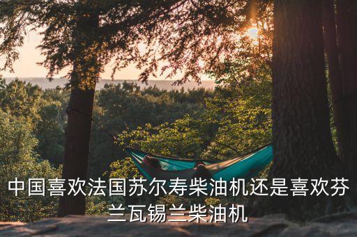 中國喜歡法國蘇爾壽柴油機(jī)還是喜歡芬蘭瓦錫蘭柴油機(jī)