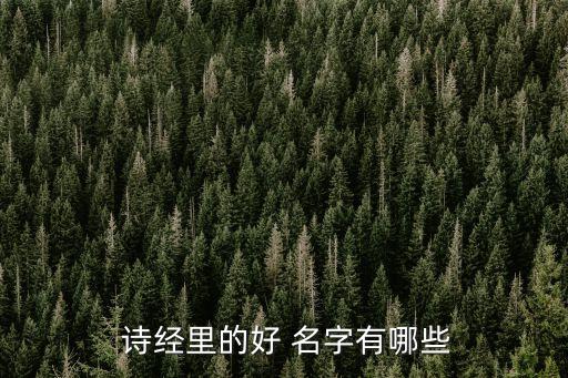 詩經(jīng)中的好名字,星期二特寫｜周末觀光巴士