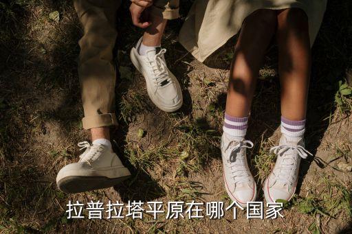 拉普拉塔平原在哪個國家