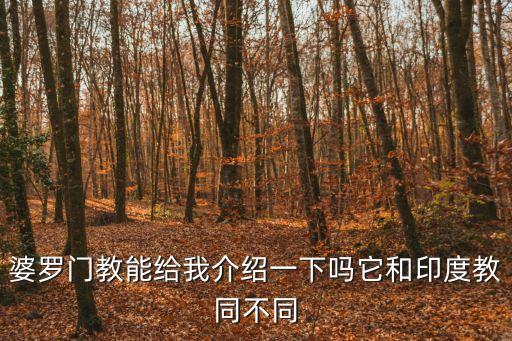婆羅門教能給我介紹一下嗎它和印度教同不同