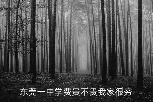 東莞第1中學怎么收費標準，東莞一中指定名額