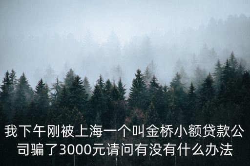 我下午剛被上海一個叫金橋小額貸款公司騙了3000元請問有沒有什么辦法