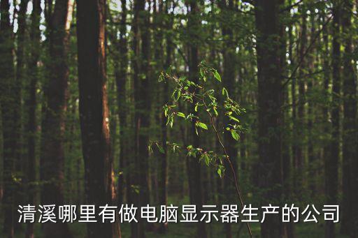 東莞市清溪鎮(zhèn)致力電腦，清溪哪里有做電腦顯示器生產(chǎn)的公司
