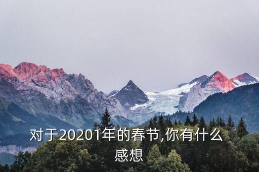 對于20201年的春節,你有什么 感想