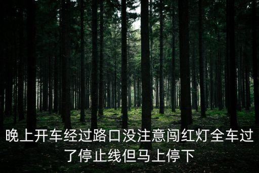 晚上開車經(jīng)過路口沒注意闖紅燈全車過了停止線但馬上停下