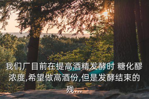糖化鍋,德國釀酒法:酵母與啤酒有關全程需密切配合