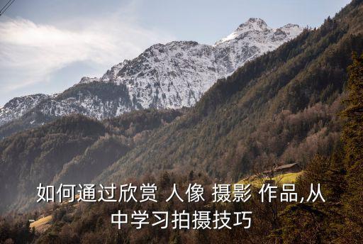 人像攝影作品,人像攝影作品專利申請中被批評侵權(quán)