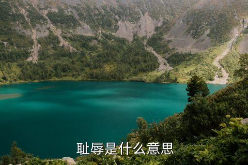  恥辱是什么意思