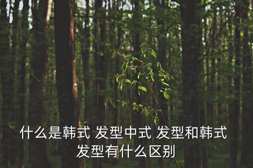 什么是韓式 發(fā)型中式 發(fā)型和韓式 發(fā)型有什么區(qū)別