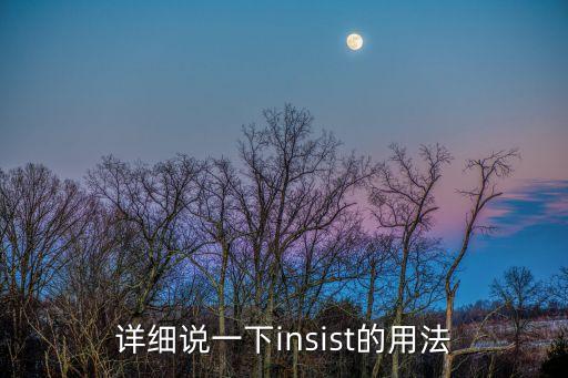 詳細(xì)說(shuō)一下insist的用法