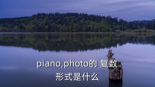  piano,photo的 復數 形式是什么