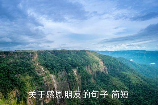關于感恩朋友的句子 簡短