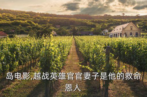 軍艦島電影,越戰(zhàn)英雄官官妻子是他的救命恩人