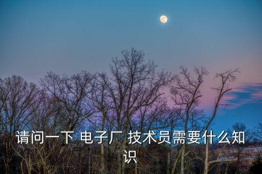 請問一下 電子廠 技術員需要什么知識