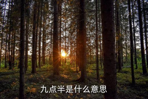 九點半是什么意思