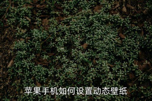 蘋果手機如何設置動態壁紙