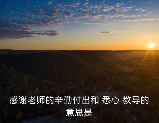悉心教導的意思,不同解讀:悉心指導和耐心教導不同