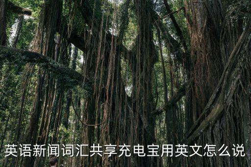 充電寶英語(yǔ)，英語(yǔ)新聞詞匯共享充電寶用英文怎么說(shuō)