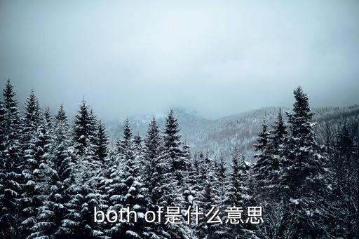bothof，both of 的用法