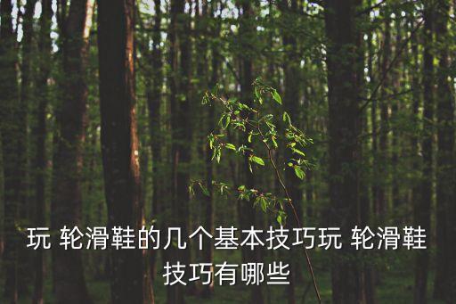 輪滑技巧,如何學習滑雪和溜冰?