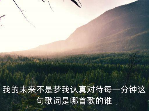 我的未來不是夢我認真對待每一分鐘這句歌詞是哪首歌的誰