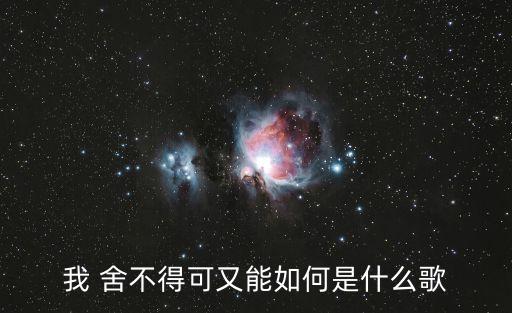 我 舍不得可又能如何是什么歌