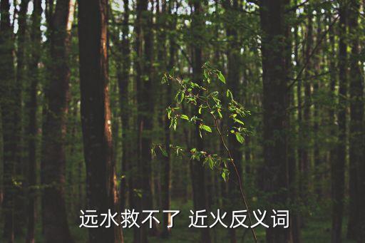  遠水救不了 近火反義詞