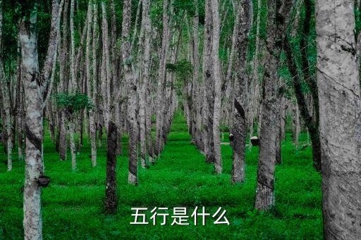 五行是指哪五行，五行是什么