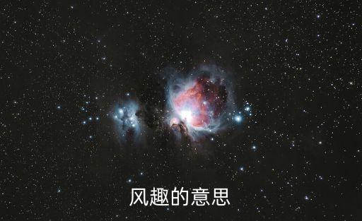 風(fēng)趣的意思