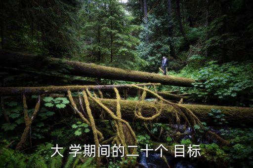 大學(xué)學(xué)期目標(biāo),選擇適合自己的專業(yè)方向和發(fā)展前景