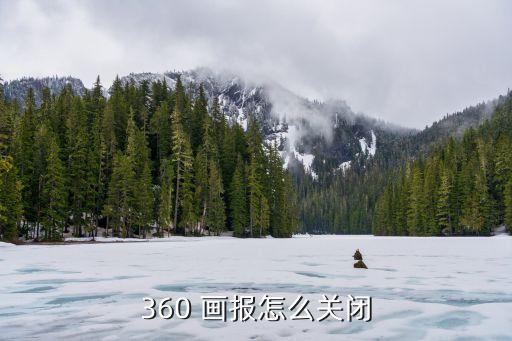 360 畫報怎么關閉