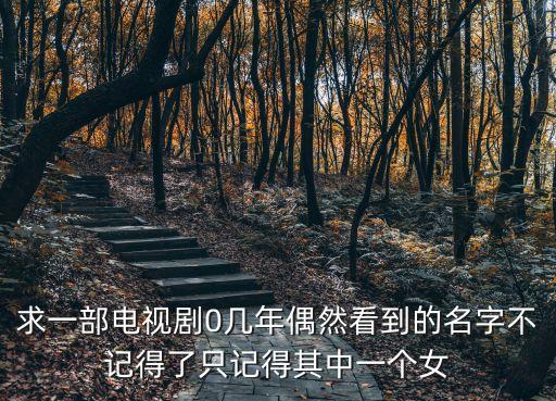 求一部電視劇0幾年偶然看到的名字不記得了只記得其中一個女