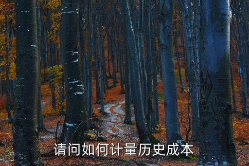 請問如何計量歷史成本