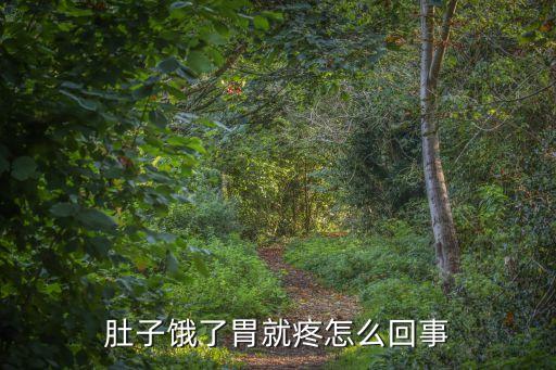 肚子一餓就胃疼，餓了就胃疼怎樣回事