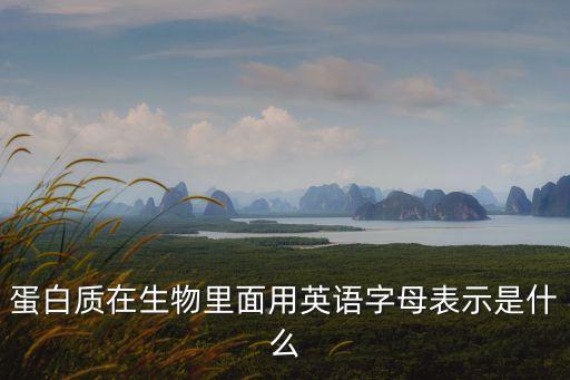 蛋白質(zhì)在生物里面用英語字母表示是什么