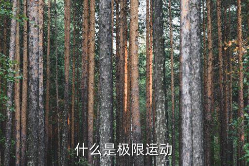 什么是極限運動