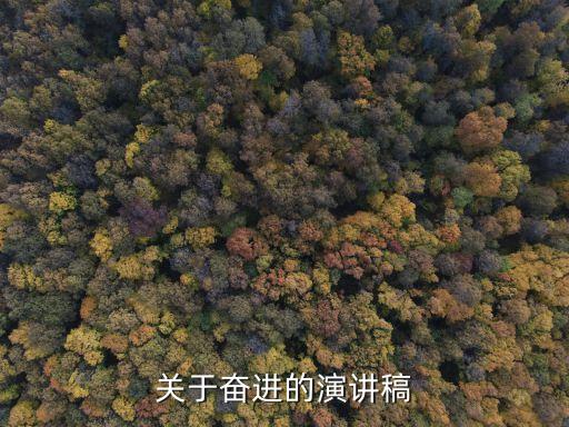 關于奮進的演講稿
