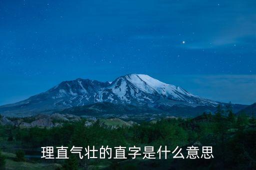 理直氣壯的直字是什么意思