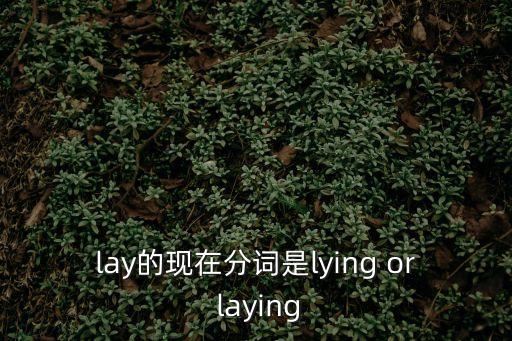 lay的現在分詞，lay的現在分詞是lying or laying